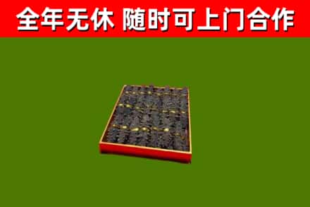 伊犁哈萨克回收海参